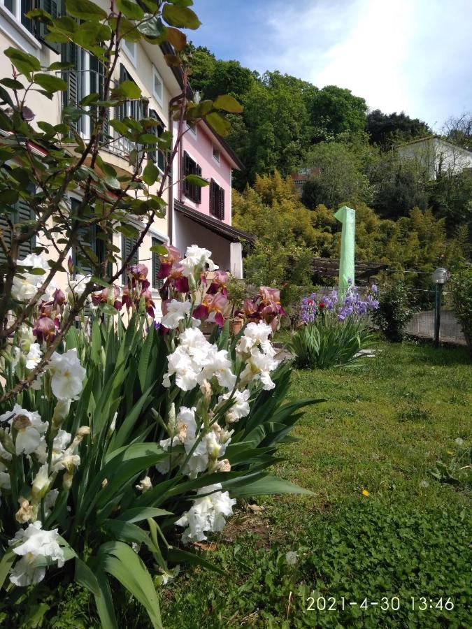 Alle Rose Barcolane Trieste Exterior foto